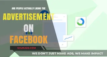 Are Facebook Ads Winning Hearts? User Sentiments Unpacked