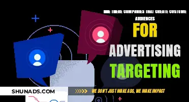 Custom Audiences for Advertising: Companies Specializing in Targeted Campaigns