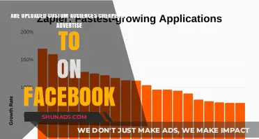 Are Custom Audiences on Facebook More Cost-Effective for Ads?