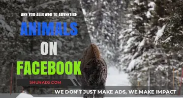Can You Advertise Animals on Facebook? Rules and Guidelines Explained