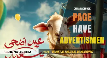 Boosting Your Facebook Page: The Power of Advertisements