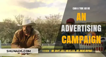 Riding the Wave: Can a Single Tide Ad Spark a Successful Campaign?