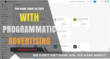 Exploring the Synergy: Adobe Target and Programmatic Advertising