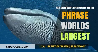 Exploring the Legitimacy of 'World's Largest' in Advertising Claims