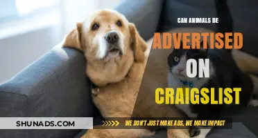Exploring Craigslist: Can You Advertise Animals There?