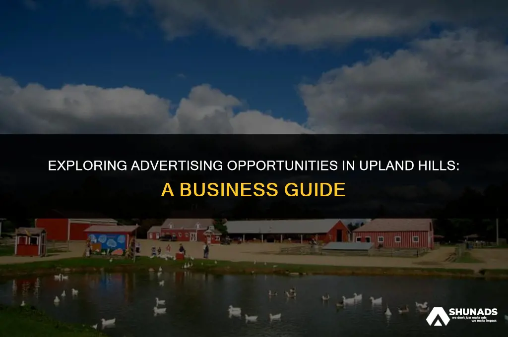 can business advertise in upland hills
