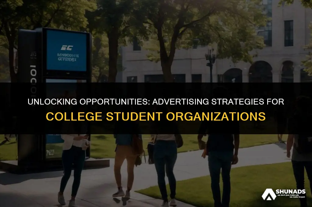 can businesses advertise to college student organizations