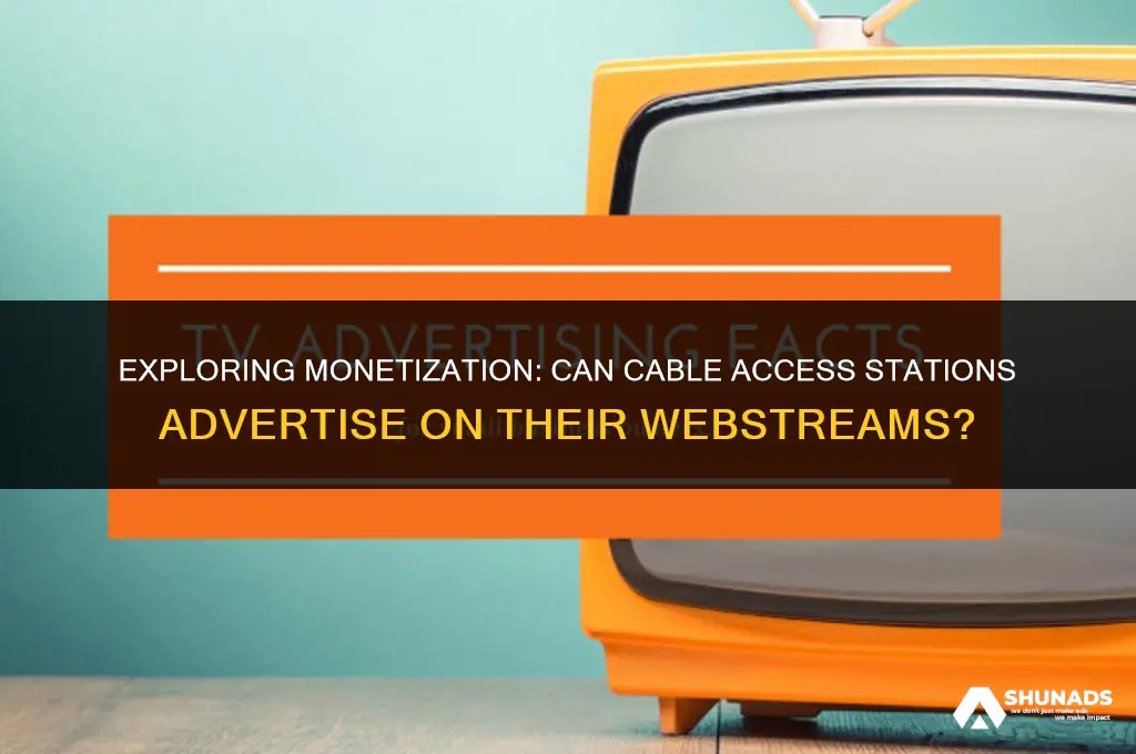 can cable access stations do advertising on their webstream