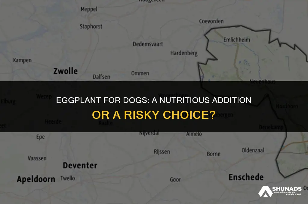 can dogs eat eggplant advertising and linking