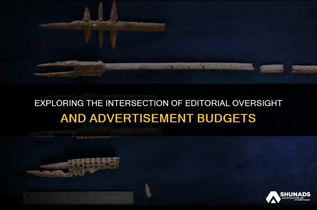 can editors look at advertisement budget
