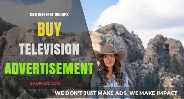 Can Interest Groups Purchase TV Ads? Exploring Media Influence and Power