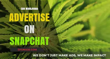 Can Cannabis Brands Legally Advertise on Snapchat in 2023?