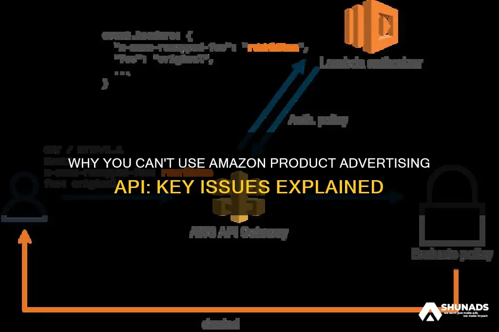 can not use amazon product advertising api