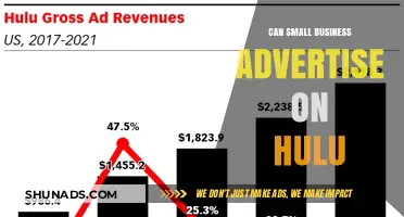 Can Small Businesses Advertise on Hulu? A Comprehensive Guide