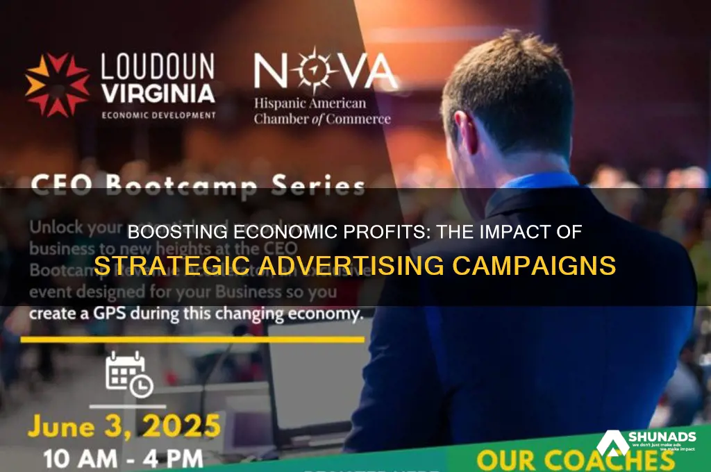 can tou increase economic proft by advertising