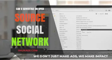 Advertising on Open Source Social Networks: Opportunities and Challenges