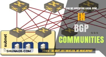 Advertising Local Performance Metrics via BGP Communities: Feasibility and Best Practices