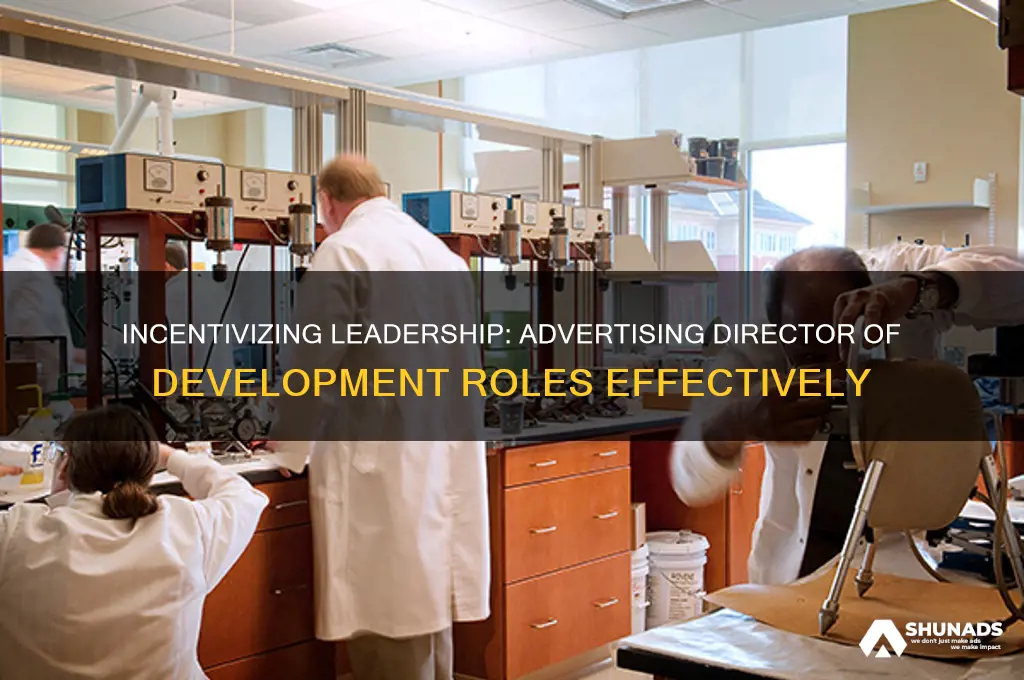 can you advertise a director of development job with incentives