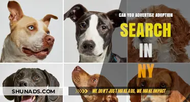 Advertising Adoption Searches in New York: Legal Guidelines and Best Practices