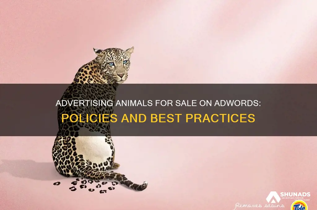 can you advertise animals for sale on adwords