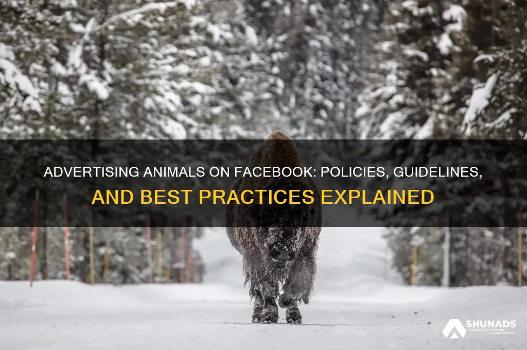 can you advertise animals on facebook