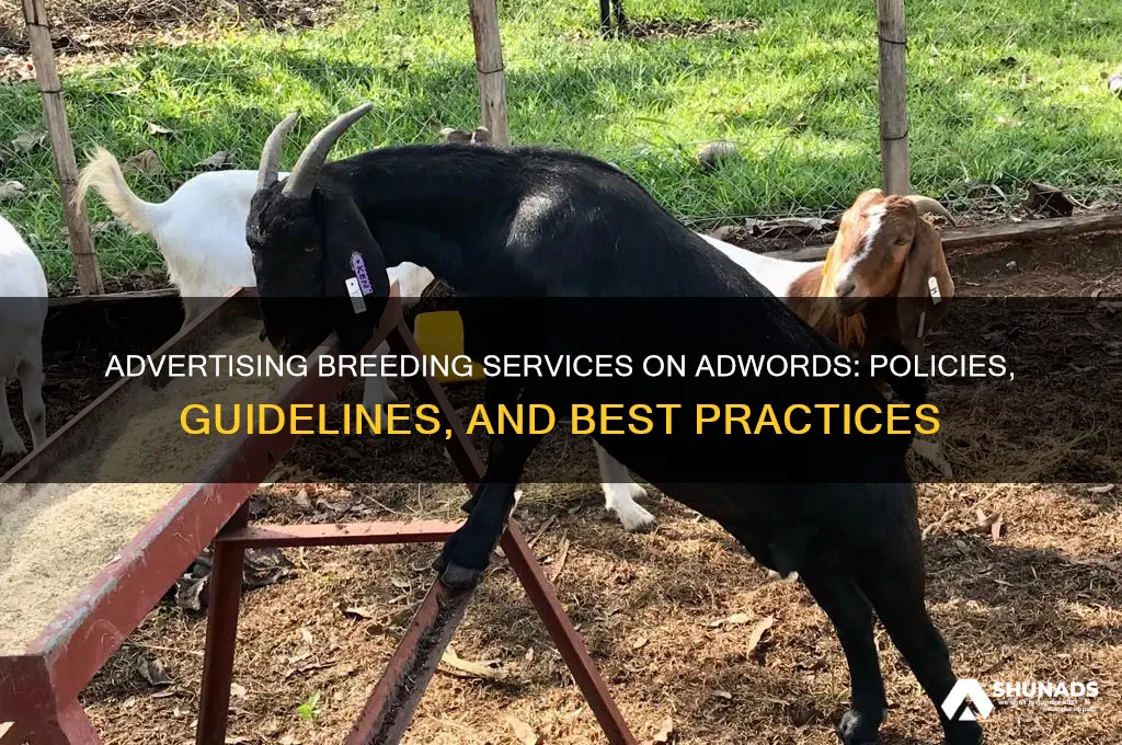 can you advertise breeding on adwords