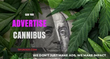 Navigating Cannabis Advertising: Legal Challenges and Opportunities for Brands