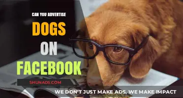 Advertising Dogs on Facebook: Rules, Tips, and Best Practices