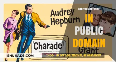 Advertising in Public Domain: Legal Boundaries and Creative Opportunities