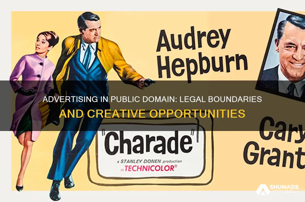 can you advertise in public domain