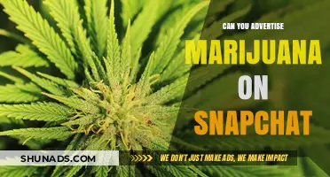 Can You Advertise Marijuana on Snapchat? Legal and Policy Insights