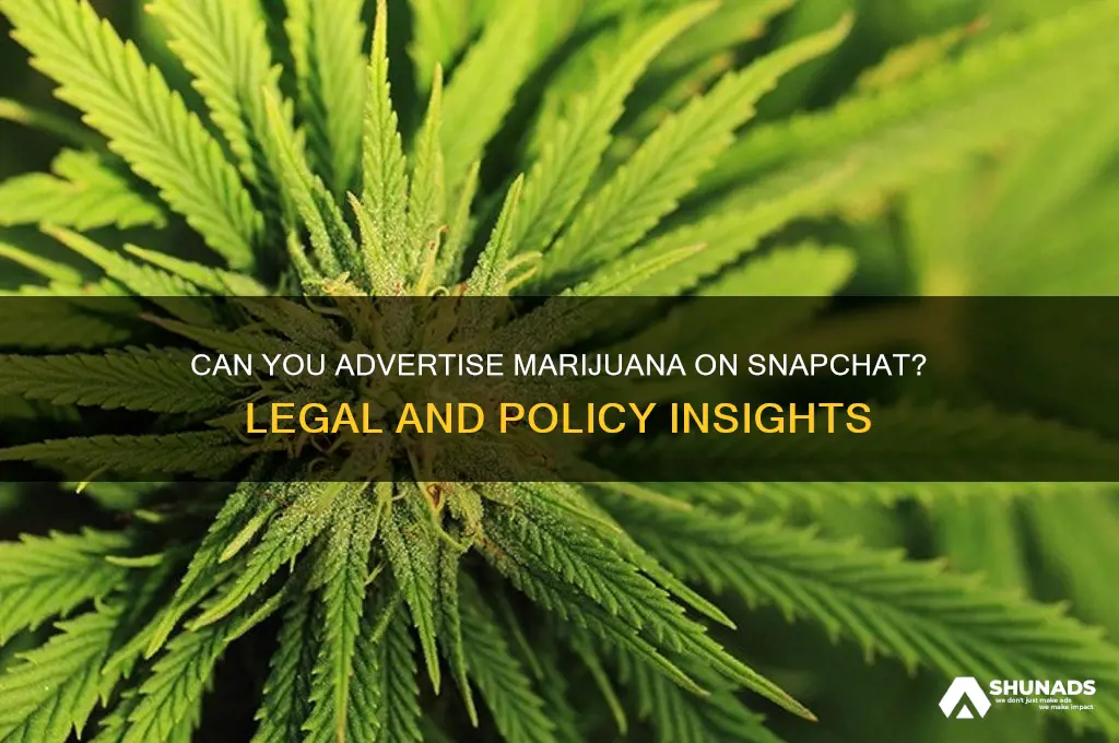 can you advertise marijuana on snapchat