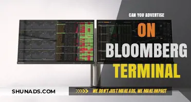 Advertising on Bloomberg Terminal: Opportunities, Costs, and Target Audience Reach