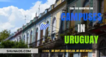 Advertising on Uruguayan Campuses: Opportunities, Regulations, and Best Practices