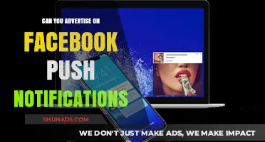 Facebook Push Notifications: A Viable Advertising Channel for Marketers?