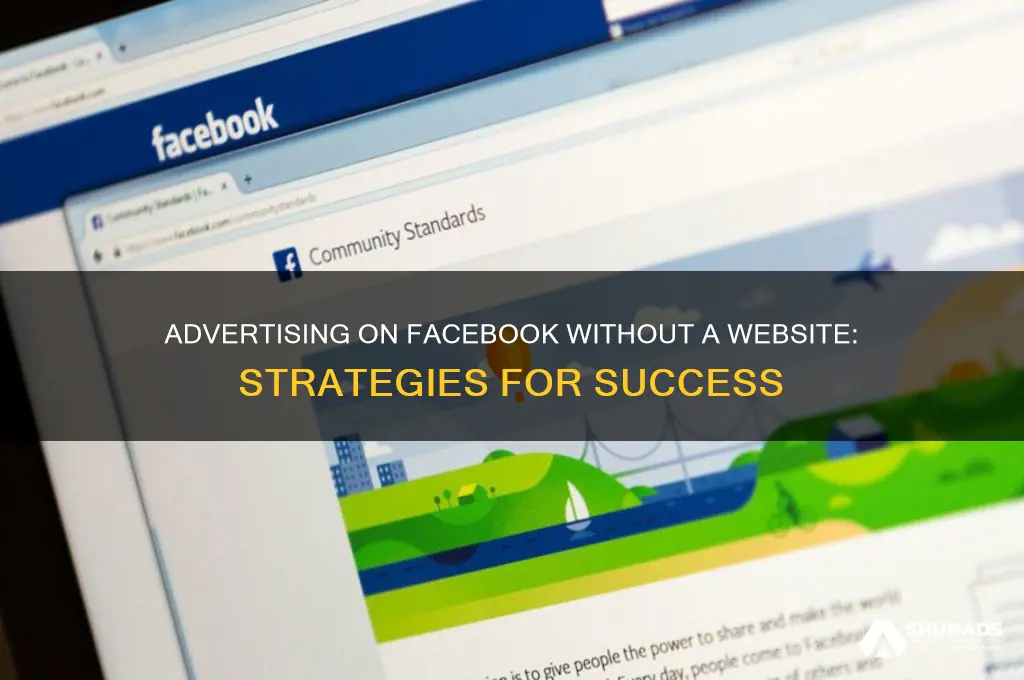 can you advertise on facebook without a website