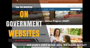 Advertising on Government Websites: Policies, Possibilities, and Practical Steps