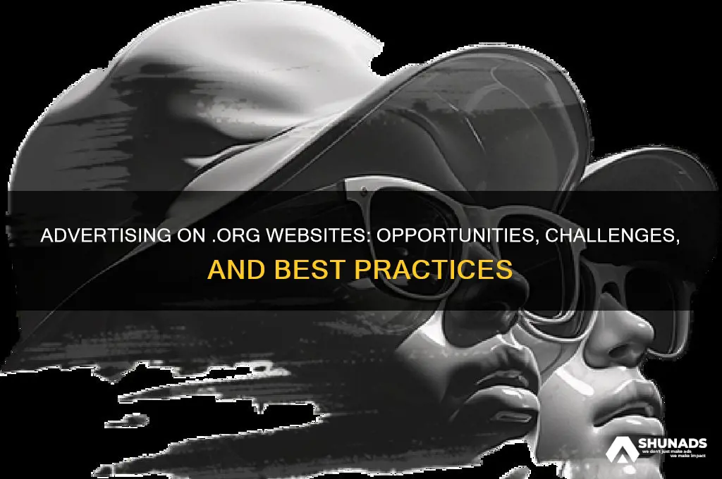 can you advertise on org sites