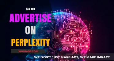 Advertising on Perplexity: Opportunities, Challenges, and Best Practices Explored