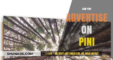 Can You Advertise on Pini? A Comprehensive Guide for Marketers
