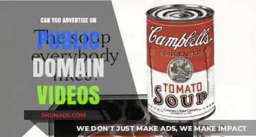 Advertising on Public Domain Videos: Legal, Ethical, and Practical Insights