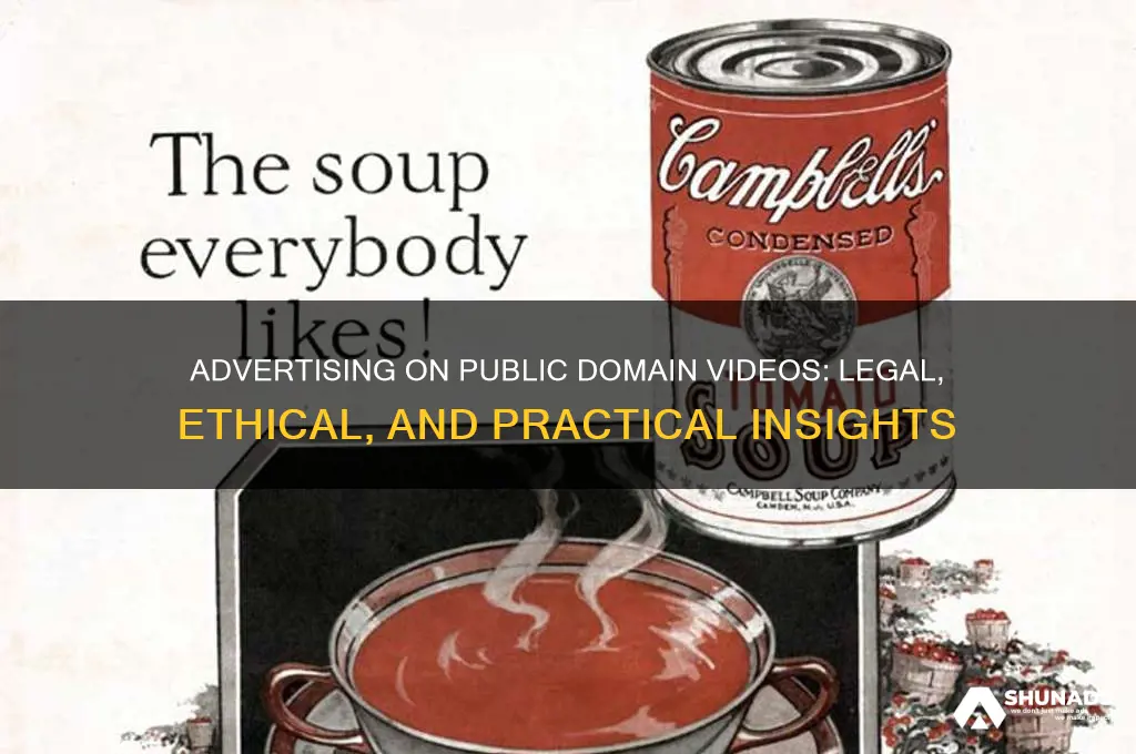 can you advertise on public domain videos