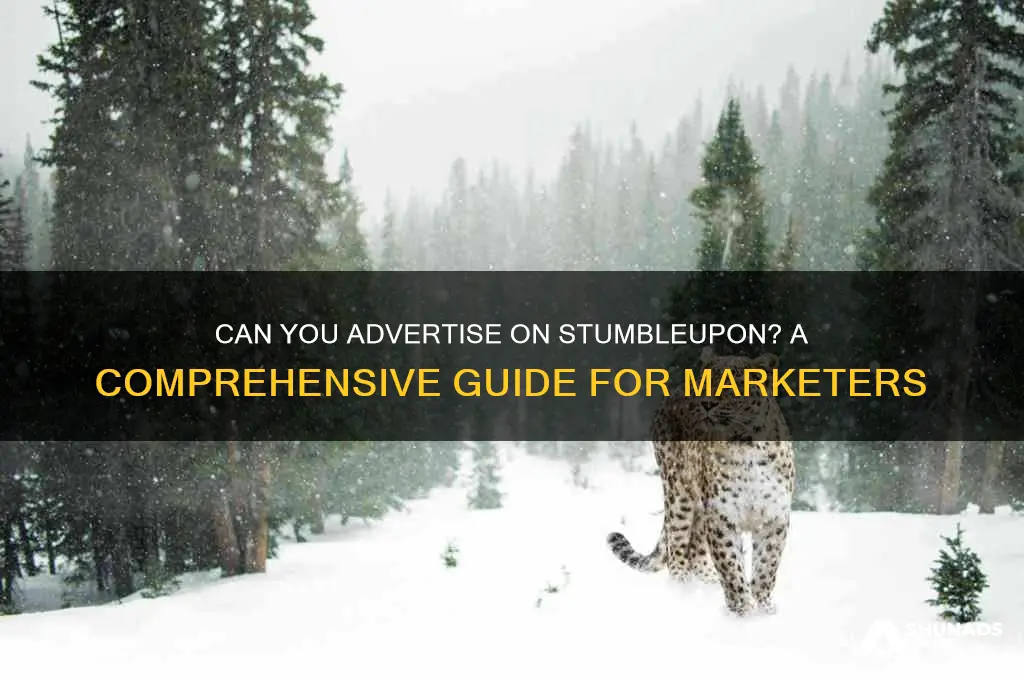 can you advertise on stumble upon