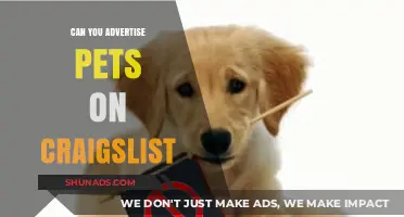 Advertising Pets on Craigslist: Rules, Risks, and Best Practices