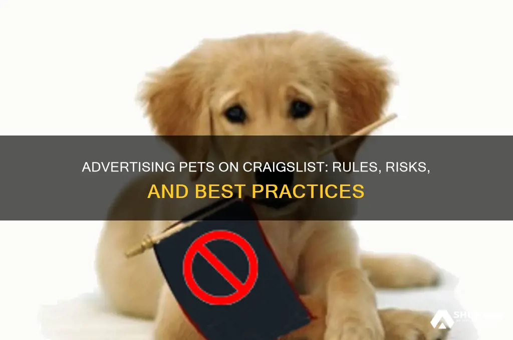 can you advertise pets on craigslist