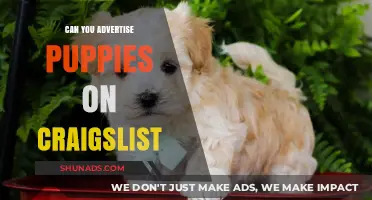 Advertising Puppies on Craigslist: Rules, Risks, and Ethical Considerations