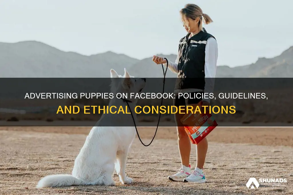 can you advertise puppies on facebook
