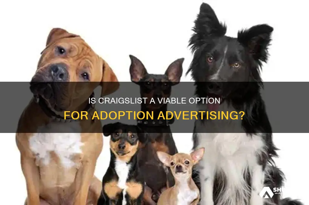 can you advertise wanting to adopt on craigslist