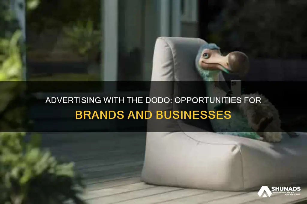 can you advertise with the dodo