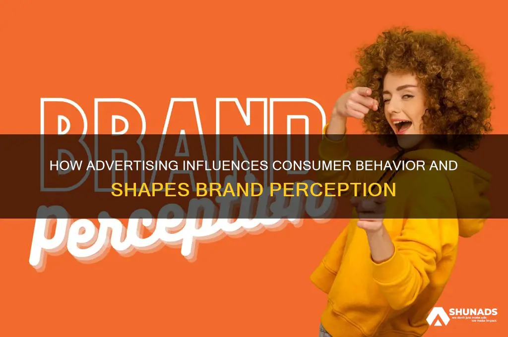 can you explain two ways in which you think advertising